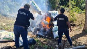 Destruyen media tonelada de marihuana en Caaguazú