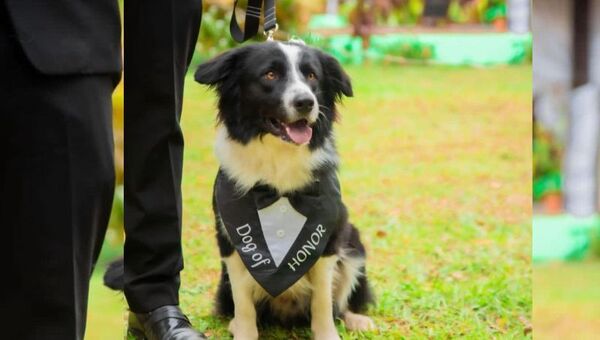 Amores perros: Prendas de Jagua Store innovan en funcionalidad y marcan presencia en eventos