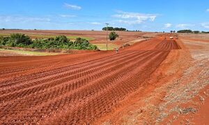 Acelerado avance de trabajos en el Corredor Metropolitano del Este, al sur de Alto Paraná – Diario TNPRESS