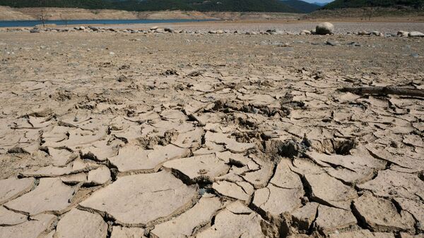 FAO advierte de posibles sequías en América ante la llegada de El Niño