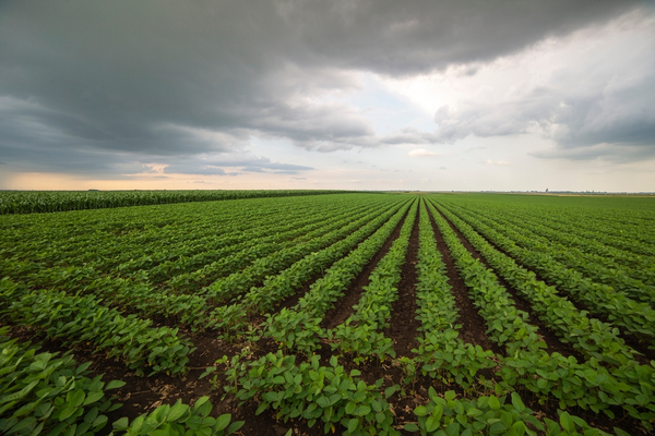 Avanza proyecto de monitoreo satelital de cultivos del sector agrícola