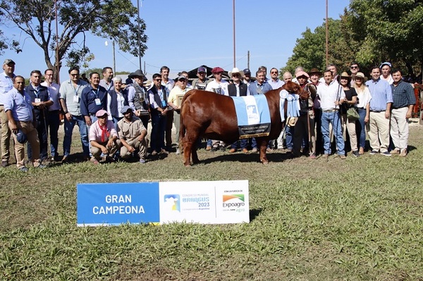 Sociedad de Ganadera Arandu se quedó con la Gran Campeona del Congreso Mundial Brangus