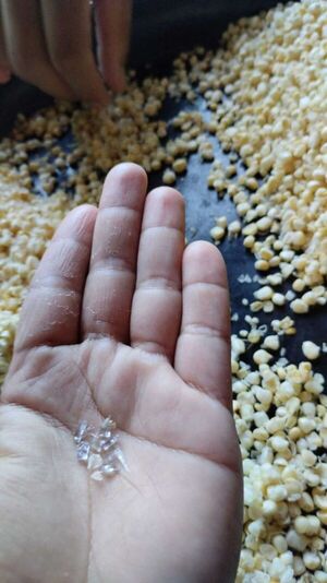 Diario HOY | Ingrediente para chipa guazú con partículas de vidrio: pesquisa fiscal y pánico