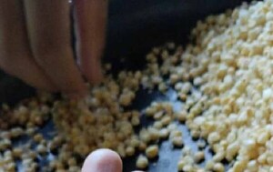 Ingrediente para chipa guazú con partículas de vidrio – Prensa 5