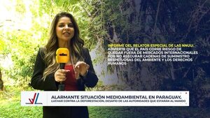 Elecciones Paraguay 2023: Alarmante situación medioambiental - ABC Noticias - ABC Color
