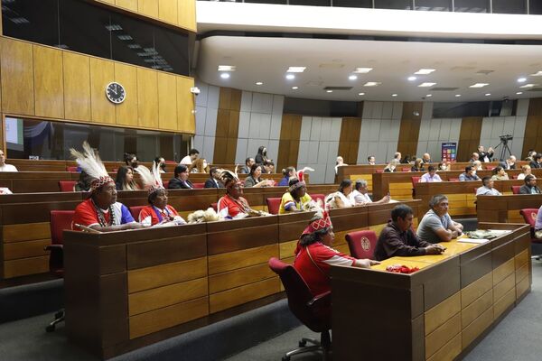Candidatos indígenas buscan ser voz de sus comunidades en el Congreso paraguayo - Revista PLUS