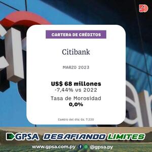 El Citibank tuvo una disminución del 7% en sus créditos a marzo | Bancos | 5Días