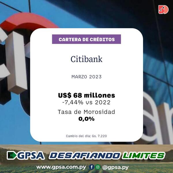 El Citibank tuvo una disminución del 7% en sus créditos a marzo | Bancos | 5Días