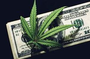 The Chronicles of Marijuana Stocks