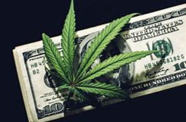 The Chronicles of Marijuana Stocks