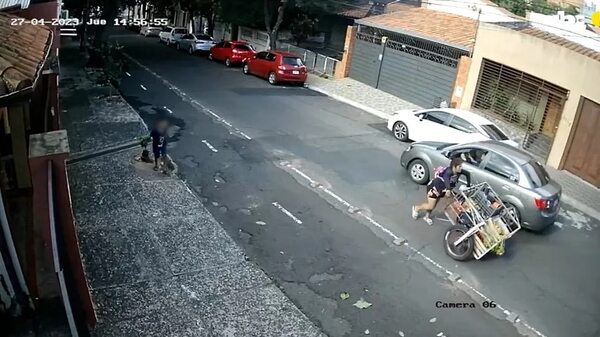 Video: ni las plantas de las veredas se salvan de los ladrones en pleno microcentro de Asunción - Nacionales - ABC Color