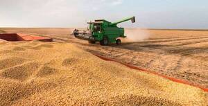Buenos resultados del campo dinamizan la economía nacional