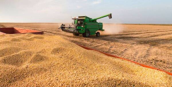 Buenos resultados del campo dinamizan la economía nacional