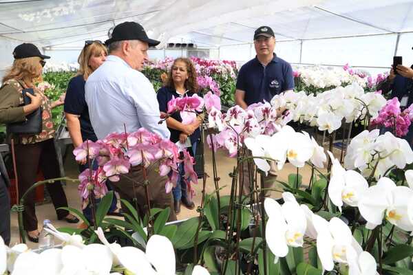 MAG con apoyo de Taiwán renueva instalaciones para producción de orquídeas en Cordillera - .::Agencia IP::.
