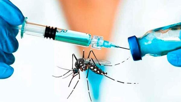 ARGENTINA APROBÓ UNA VACUNA CONTRA EL DENGUE - Itapúa Noticias