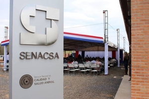 TRÁMITES DIGITALES DEL SENACSA SE PODRÁN REALIZAR DESDE HOY - Itapúa Noticias