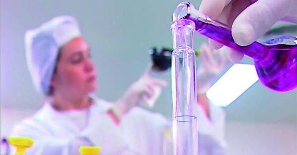 La Nación / Farmacéuticas esperan que próximas autoridades mantengan promesas