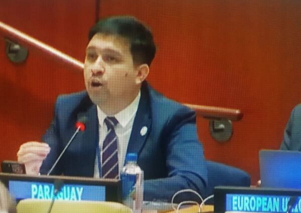 Ministro Colmán intervino en sesión ministerial del Foro Juventud ECOSOC de la ONU - El Trueno