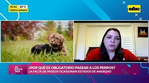 Video: ¿Por qué es obligatorio pasear a los perros? - Ensiestados - ABC Color