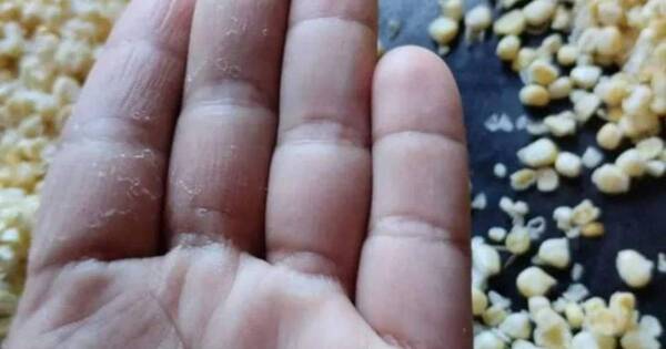 La Nación / En Concepción una señora vendió choclos con trozos de vidrio para chipa guasu