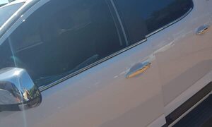 “Tortoleros” hurtan dinero de una camioneta aparcada en Santa Rita – Diario TNPRESS