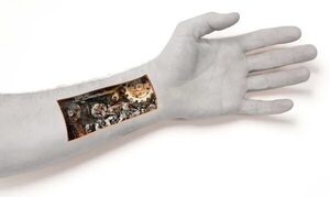 Crean la primera “piel electrónica” para que los robots sientan como humanos - Ciencia - ABC Color