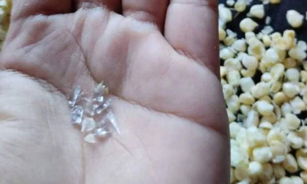 Una señora vendió choclos con trozos de vidrio en Aquino Cué, Concepción - OviedoPress
