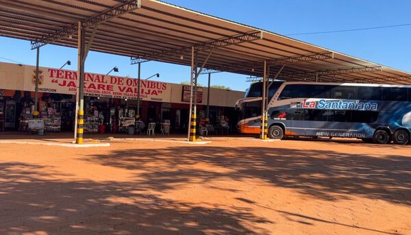 Buses operarán con normalidad durante las elecciones