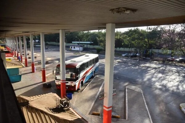BUSES DE LARGA DISTANCIA OPERARÁN CON NORMALIDAD DURANTE ELECCIONES