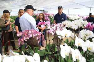 Diario HOY | Productores de orquídeas estrenan invernadero con donación de Taiwán