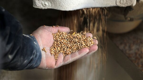 Ucrania protestó por la restricción a la importación de sus productos agrícolas | OnLivePy