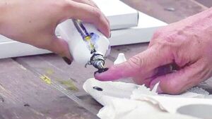 Premios por votar: Siete universidades darán beneficios a jóvenes