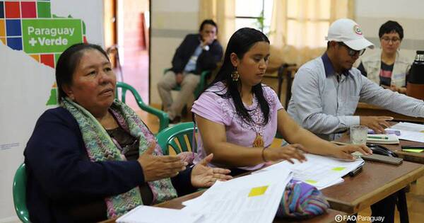 La Nación / FAO resalta participación de pueblos indígenas en Paraguay + Verde