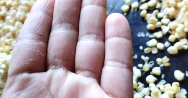La Nación / Señora vendió choclos con pequeños trozos de vidrio