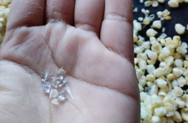 En Concepción una señora vendió choclos con trozos de vidrio para chipa guasu - Noticiero Paraguay