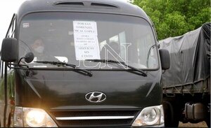 Afirman que asistencia masiva de electores se debe a que el transporte público es gratuito - ADN Digital