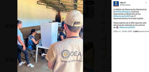 Desde la OEA destacan el montón de gente que se presentó a las votaciones
