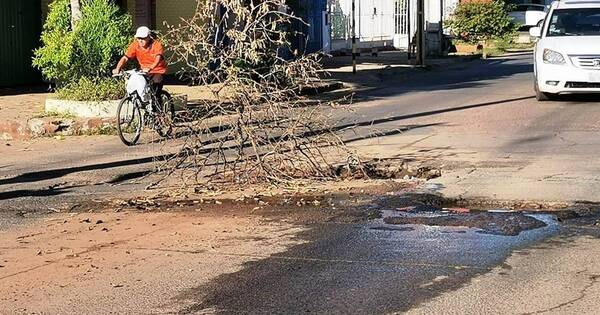 La Nación / Vecinos señalizan con ramas un bache en centro de Luque