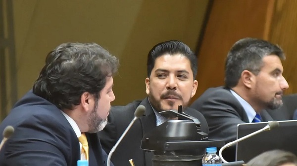 Liberales dejan de tener representación parlamentaria por Alto Paraná - Noticias Paraguay