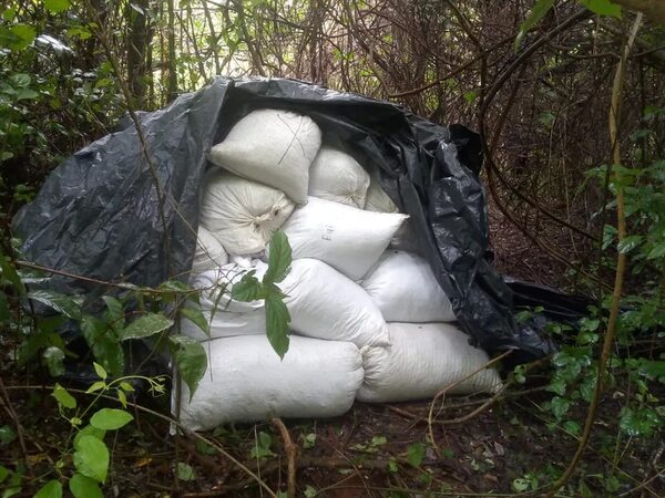 Destruyen gran cantidad de marihuana en Concepción - Policiales - ABC Color