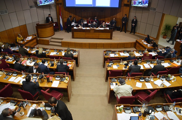 Conocé la lista preliminar de senadores electos - trece