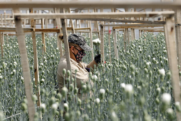El salario mínimo de Colombia aumentó un 10 % en 2022, según Oxfam - MarketData