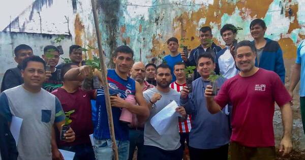 La Nación / Reos aprenden siembra de frutilla en el penal de Tacumbú