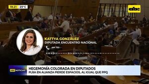 Video: Hegemonía colorada en diputados - ABC Noticias - ABC Color