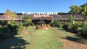 Desde Piribebuy: Paseo Las Palmeras un negocio que produce plantas y genera empleo y rentabilidad
