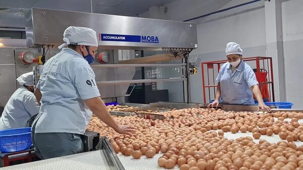 Gremios apelan al cambio de gobierno para avanzar en dinamismo económico - Economía - ABC Color
