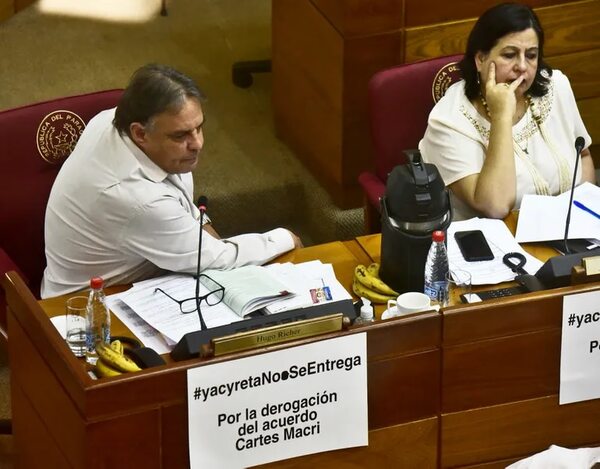 División del Frente Guasu afectó, dice Richer - Política - ABC Color