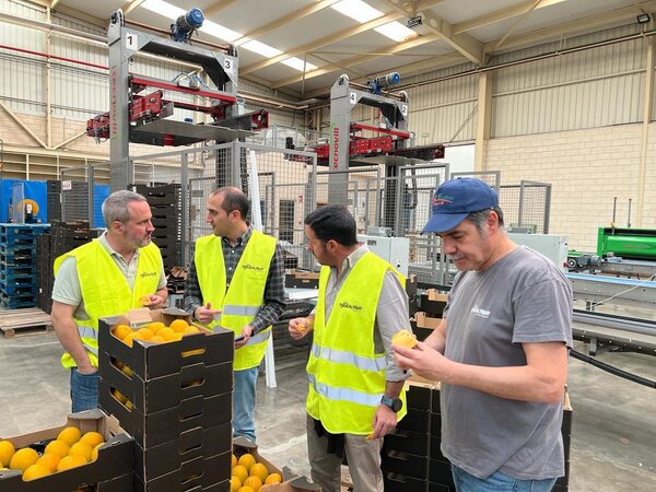 Proyectos por USD 140 millones crearán más de 2.200 empleos y Paraguay exporta por primera vez caqui fresco - MarketData