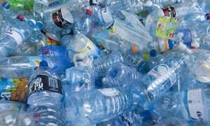 Descubren un hongo que puede descomponer uno de los plásticos más resistentes del mundo