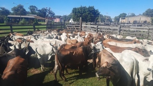 Asaltan una estancia en Paso Barreto